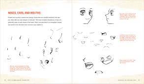 To draw the ears of male anime and manga characters, first divide the head into four equal parts like the picture, draw the ear on the third part from the top, close to the chin. How To Draw Manga Characters A Beginner S Guide Amazon De Amberlyn J C Fremdsprachige Bucher