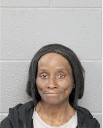 ᐅ Illinois Criminal Records 2009-2026