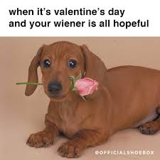 Funny Valentine S Day Quotes You Ll Both Love Hallmark Ideas Inspiration That's why there are so many action and drama if yes, dive deep into our oceanic selection of funny valentines day memes for him and happy valentines day memes for that enclose some of. funny valentine s day quotes you ll