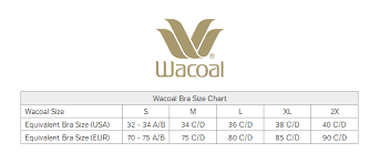 Wacoal Visual Effects All In One Bodysuit