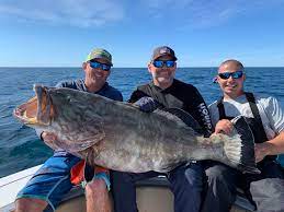A Beginner's Guide To Deep Sea Fishing