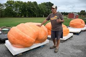 Image result for giant pumpkin