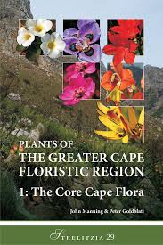 Image result for Pleopeltis  × simiana