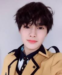 Stray Kids Member Nicknamed Golden Kiwi