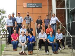 Different foods respond differently when cooked. Vet Students Learn About Beef Business Futurebeef