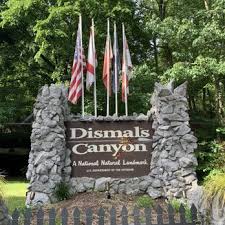 Dismals canyon is a nature retreat and historical landmark that is located in. Dismals Canyon 20 Photos 23 Reviews Parks 901 Hwy 8 Phil Campbell Al Phone Number