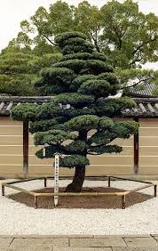 Tofukuji Japan Garden Japanese Garden Japanese Landscape