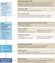 Jun 04, 2021 · plus all of the other special tips and secrets we have included to help you prepare for the exam. Management Of Congenital Nephrotic Syndrome Consensus Recommendations Of The Erknet Espn Working Group Nature Reviews Nephrology
