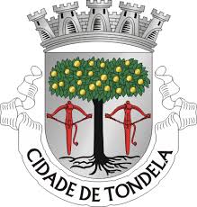 Primeira liga 11 may at 15:00. Zona Industrial De Tondela Comecou A Ser Ampliada E Requalificada Noticias De Viseu