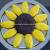 Simple Sunflower Birthday Cake