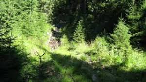 Carti — iulian fira @ 13:43 +00:00ian. Unde S Haiducii Youtube