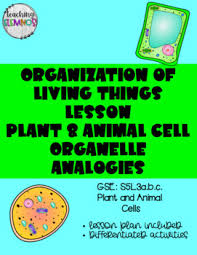 Using a piece of pink paper as the cytoplasm of an animal cell, beginning biologists color and cut out. S5l3 Worksheets Teaching Resources Teachers Pay Teachers