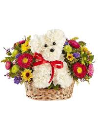 Our bouquets are great for all occasions. Bouquets By Occasions Delivery Bradenton Fl Oneco Florist