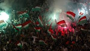 Download fluminense wallpapers apk 2.0 for android. Papel De Parede Fluminense 1920x1080 Wallpaper Teahub Io