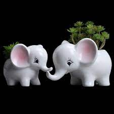 Download files and build them with your 3d printer, laser cutter, or cnc. Amazon Com Ogrmar 2pcs Elephant Plant Window Boxes Cute Elephant Flower Pot Modern White Ceramic Succulent Planter Pots Tiny Flower Plant Containers Animal Decor Garden Outdoor