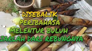 Do you guys understand what does this means 1 melentur buluh biarlah dari rebungnya 2 bagai kucing dengan anjing 3 bagai aur dengan tebing. Disebalik Peribahasa Melentur Buluh Biarlah Dari Rebungnya Youtube