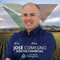 80+ "Comegno" profiles
