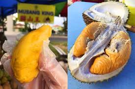 Saya pikir musang king akan berkisar 20. 7 Best Durian Spots Around Kl And Pj To Satisfy Your Durian Cravings Klook Travel Blog