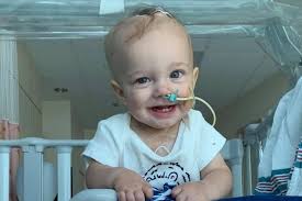 Fundraiser for Joshua Tasman by Austin Mckee : Ezra Tasman