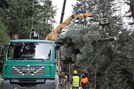 Wyświetl profil użytkownika tomasz markiewicz na linkedin, największej sieci zawodowej na świecie. Sadecka Jodla Bedzie Cieszyc Oczy Pod Oknem Papieskim Gazeta Krakowska