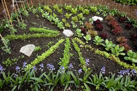 At $2.50 per seed packet, you'll have more than enough of this vegetable to last you through the winter. How To Plant A Fall Vegetable Garden Better Homes Gardens
