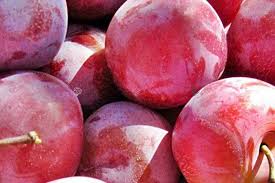 Image result for prunus domestica renkloda althana