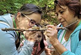 Mushroom Walk with New York Mycological Society