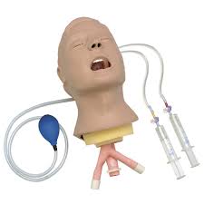 Image result for Advanced Airway