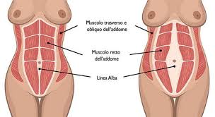 Chirurgia estetica plastica dell' addome. Diastasi Addominale Dalla Xs Alla Xl Livingmoms Blog