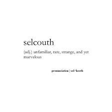 Definition Selcouth Beauty Words Cool Words Quotes
