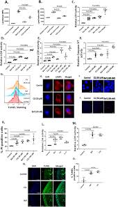 Never miss another show from soon gan. Lysosomal Dysfunction In Osteoarthritis And Aged Cartilage Triggers Apoptosis In Chondrocytes Through Bax Mediated Release Of Cytochrome C Osteoarthritis And Cartilage