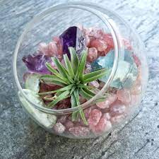 Trolley Air Plants Decor Crystal Terrarium Air Plant Decor Ideas