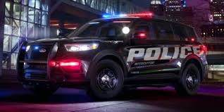 Image result for Arizona Beige 2020 Interceptor
