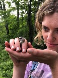 Happy Birds & Messy Forests