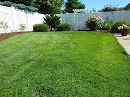 Zoysia is found mostly in and from the middle part of the u.s. 2021 Zoysia Sod Cost Zoysia Grass Sod Prices