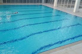 Seperti yang diketahui ikan gurame membutuhkan air dalam jumlah banyak agar tumbuh dengan baik. Apa Fungsi Kaporit Di Dalam Kolam Renang Bolasport Com
