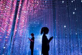 Art Meets Science Exhibition Bne Art Art Science Museum Experiential Art Science Art