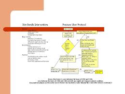 pressure ulcer prevention and wound and skin documentation