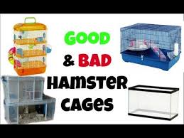 Good And Bad Hamster Cages Hamster Cages Cool Hamster Cages Hamster Toys