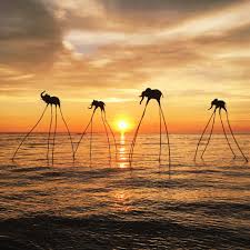 Check spelling or type a new query. Mat Drat Tempat Dan Aktiviti Menarik Di Phu Quoc