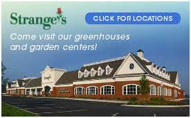 'united states/virginia' & 'business and economy/shopping'. Strange S Florist Richmond Va Your Local Same Day Delivery Florist