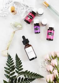 Diy hydrating skin repair serum. Diy Face Serum The Merrythought
