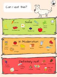 Thinking Can My Dog Eat Banana Chocolate Candy Oranges Apples This Is Your Comprehensive List Of What Is In 2020 Dog Eating Foods Dogs Can Eat Can Dogs Eat