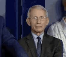 During a coronavirus briefing, dr. Fauci Gifs Tenor