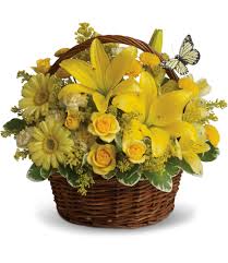 We did not find results for: Basket Full Of Wishes In Denver Co Lily Flowers