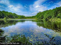Partner content june 14, 2018. Cranberry Lake Preserve Loop