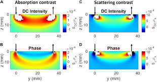 Its units are usually seconds, but may. Frontiers Frequency Domain Techniques For Cerebral And Functional Near Infrared Spectroscopy Neuroscience
