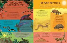 It damages its holder at the end of each turn, but changes holders on contact. There Are Reptiles Everywhere Amazon De Bedoyere Camilla De La Teckentrup Britta Fremdsprachige Bucher