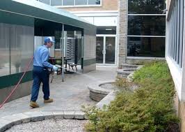 India gurugram, haryana, india, 122001. Pest Control Termite Control Indian Pest Control Fumigation Co