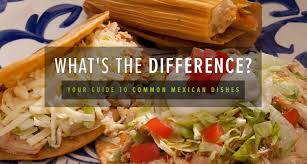 Mix n match any three served with warm tortilla chips and house black beans. Your Guide To Common Mexican Dishes La Mesa Mexican Restaurant